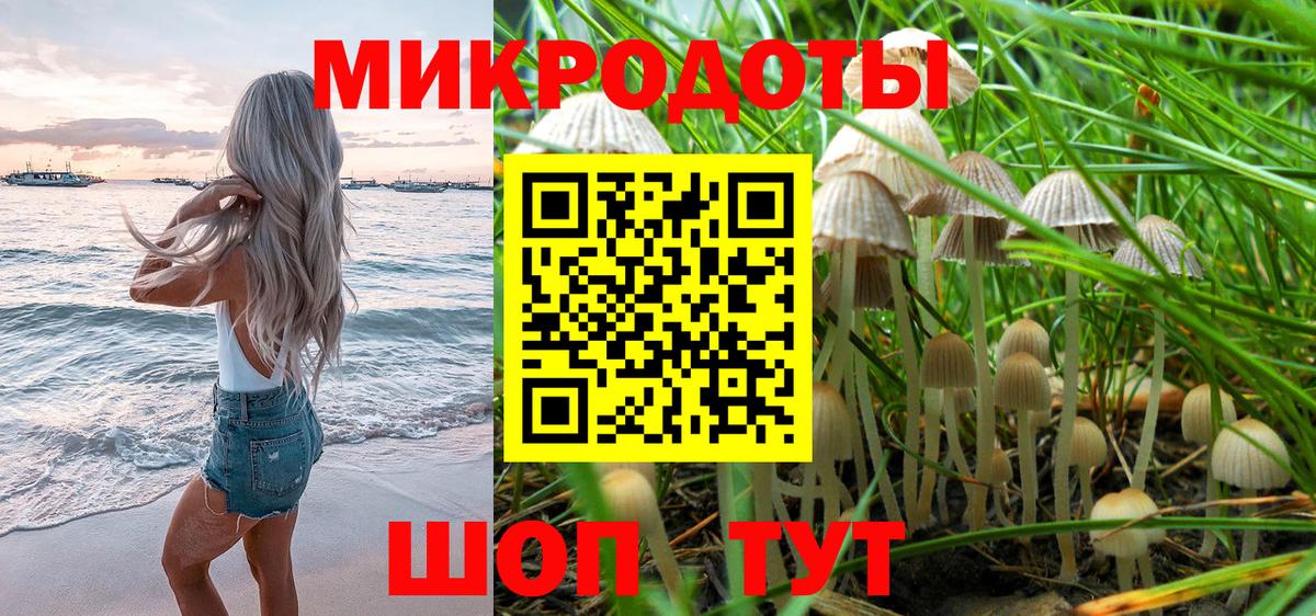 Галлюциногенные грибы MAGIC MUSHROOMS  Вход с VPN  Гусиноозёрск 