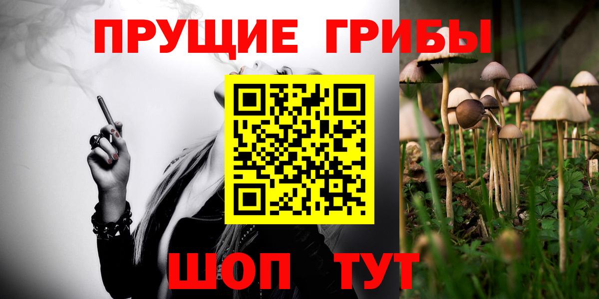 Псилоцибиновые грибы прущие грибы Гусиноозёрск